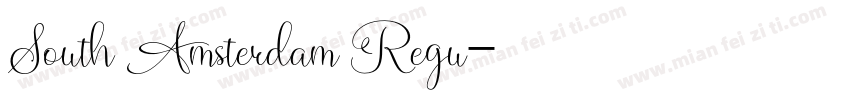 South Amsterdam Regu字体转换